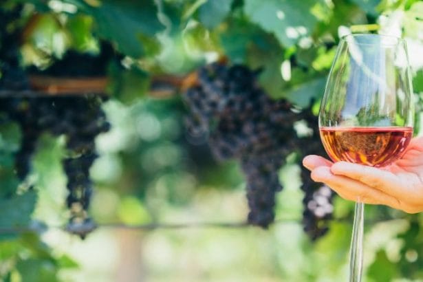 Andre Luiz Veiga Lauria