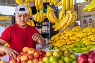 Comida de verdade no Brasil: o resgate da alimentação saudável e da identidade cultural