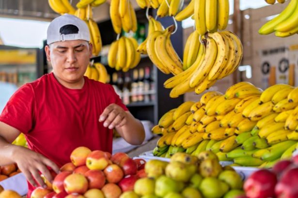 Comida de verdade no Brasil: o resgate da alimentação saudável e da identidade cultural